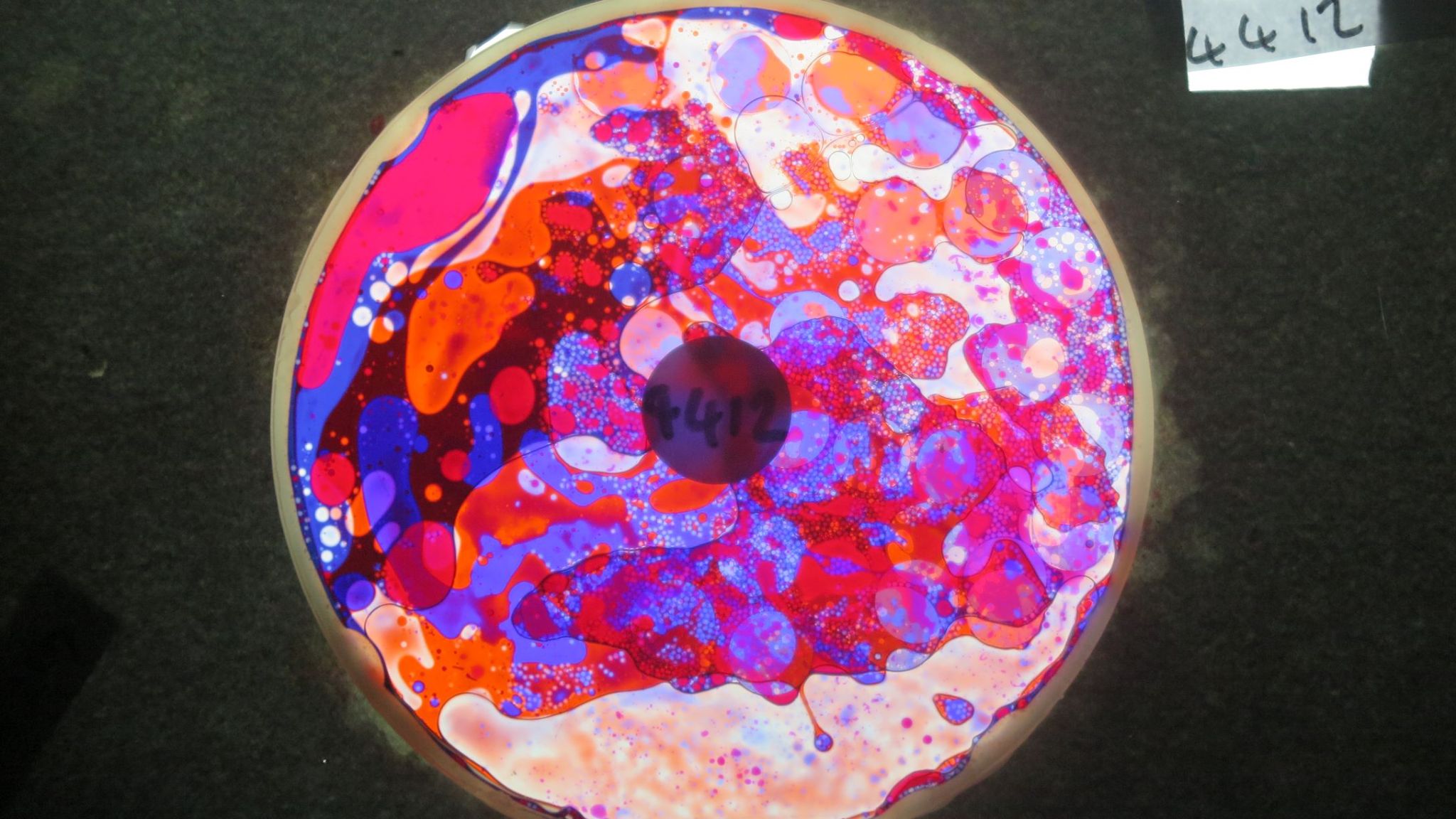 BV4412 bubble vision oil wheel